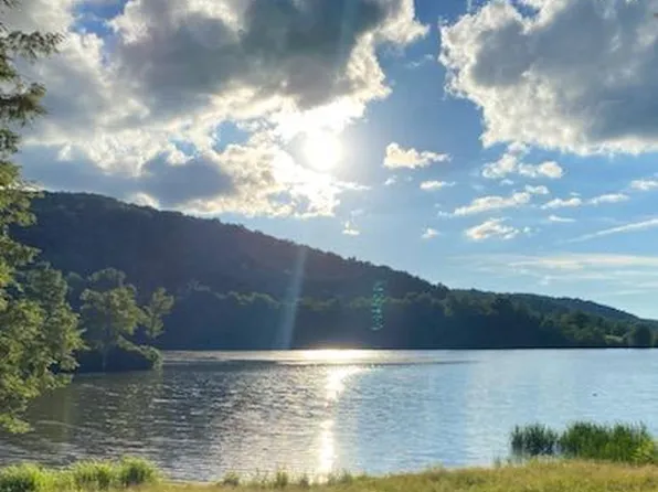 Reflection Lake Rd, Little Meadows, PA 18830