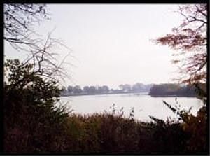 1st image of 9527-9529 W Portage River South Rd