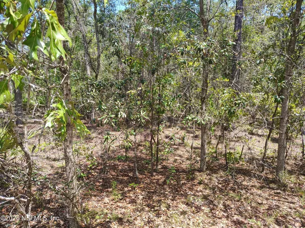 TBD SUMAC Street, Interlachen, FL 32148