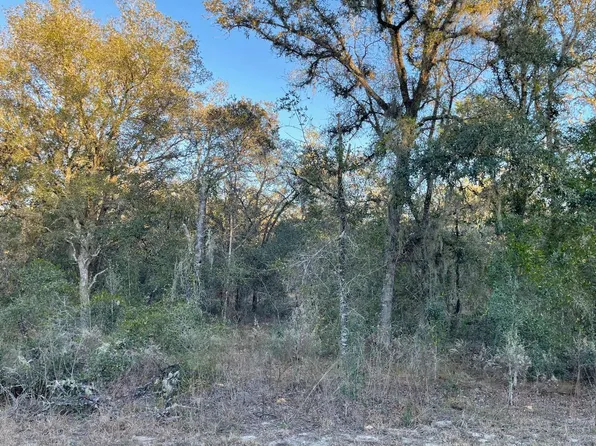 SW Willow Road Ext, Dunnellon, FL 34431