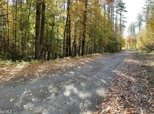 37 Blue Bay Road Lakeview Pt. Lot 40, Chestertown, NY 12817