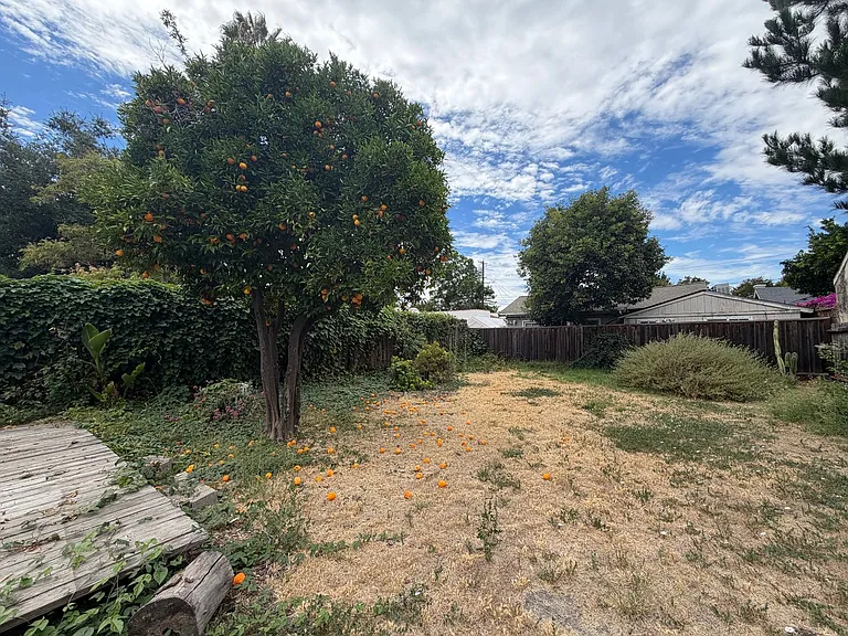 1351 Magnolia Ave — Photo 3