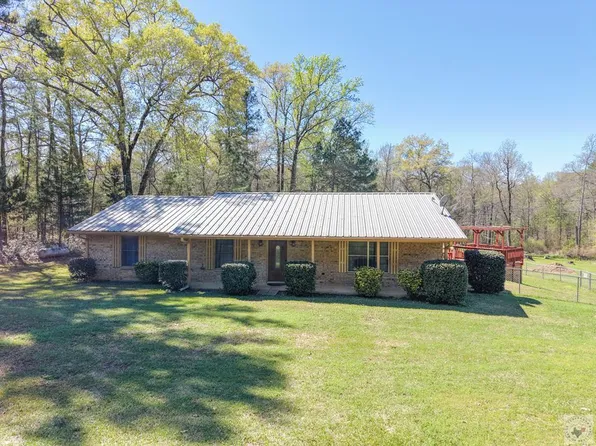 1501 Pine Wilderness Dr, Queen City, TX 75572