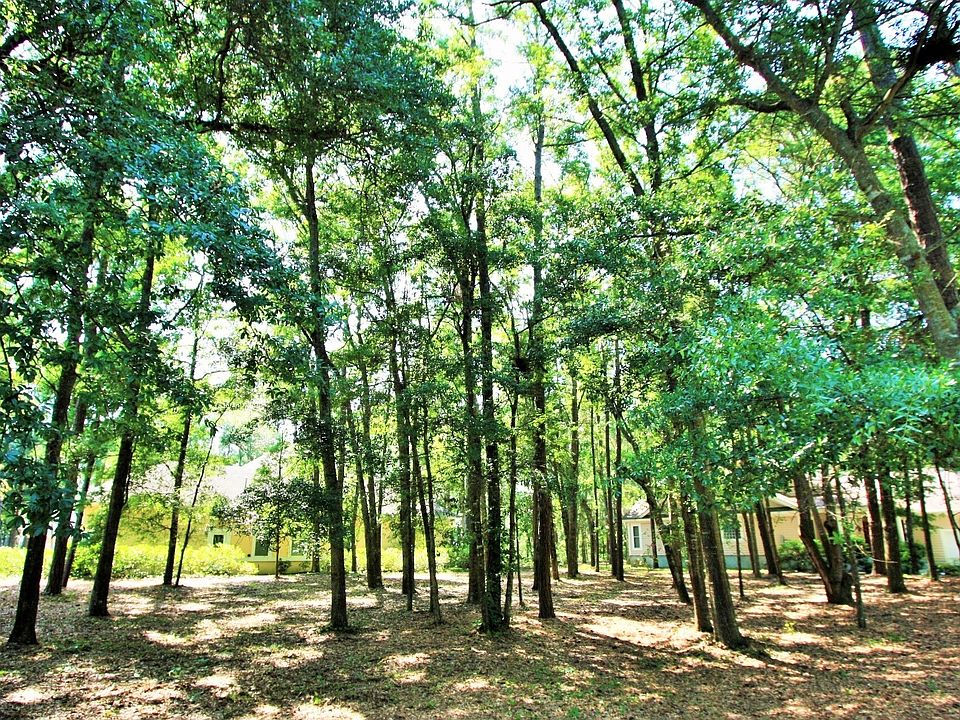 1st image of 676 Bucks Bluff Dr
