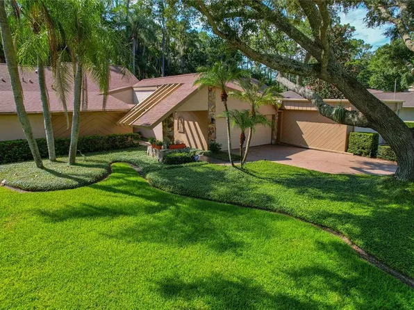 3071 Bolt Dr, Palm Harbor, FL 34685