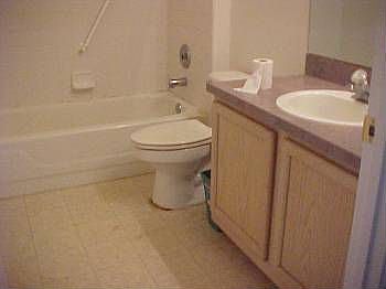 4th image of 2318 Cobblefield Cir
