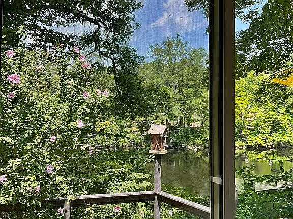 River view from kitchen