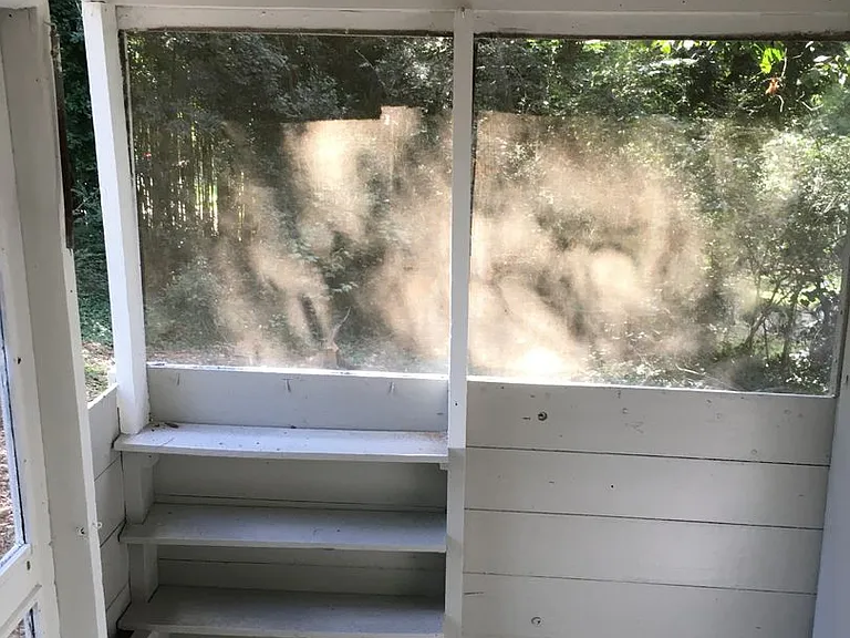 423 Wilshire Rd NE — Photo 16