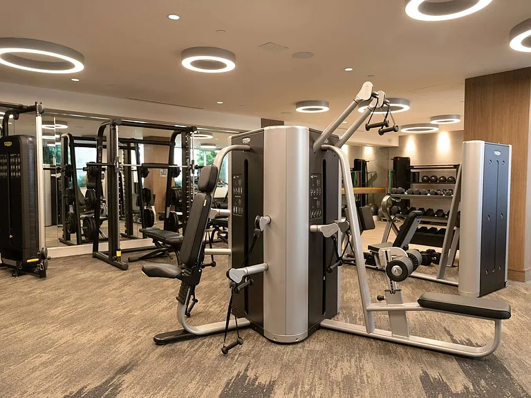 Stay active with top-tier strength equipment.