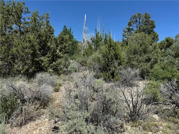 N Troutcanyon Rd, Las Vegas, NV 89124
