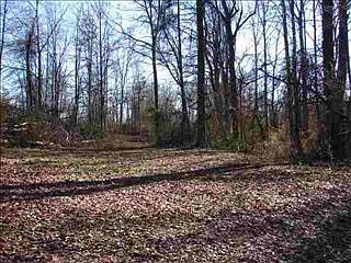2nd image of 481 Old John Dodd Rd