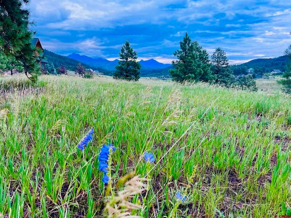 119 La Ventana Pl, Pagosa Springs, CO 81147