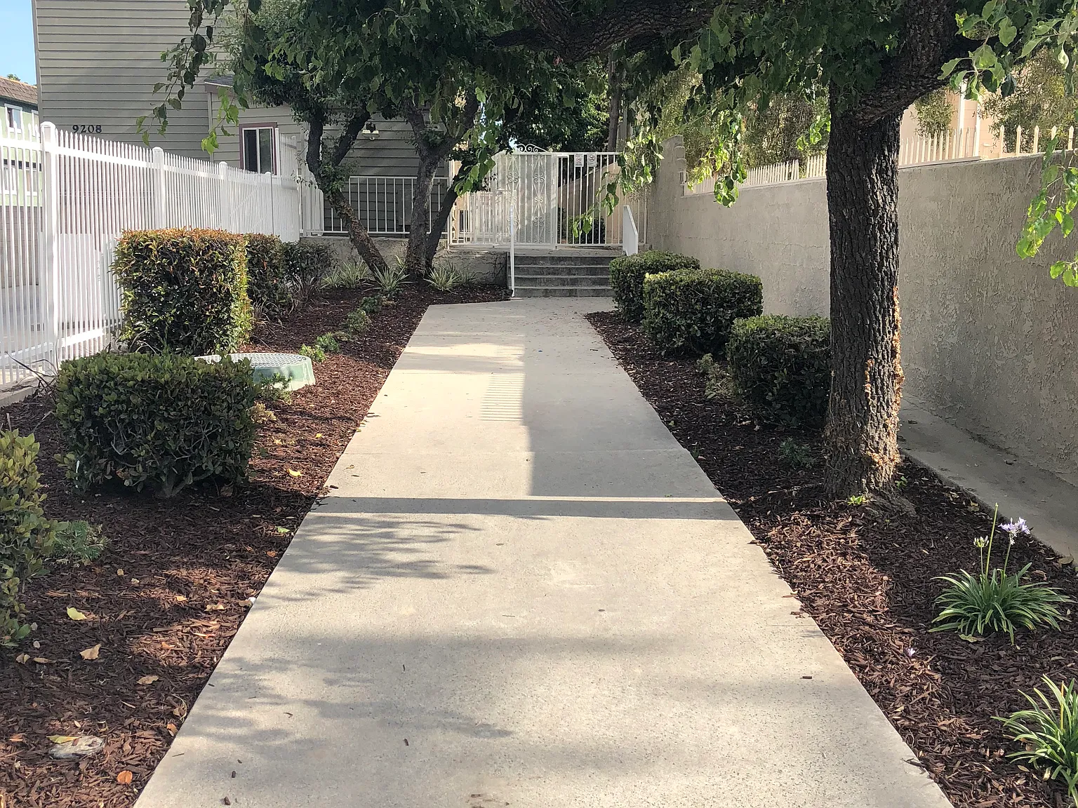 2 bed, 1.5 bath, 972 sqft, $2,900 — Photo 3