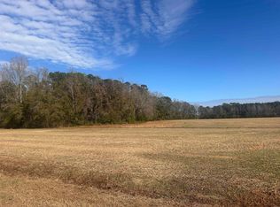 Elvington Rd, Nichols, SC 29581