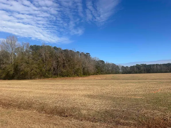  SE Elvington Rd., Nichols, SC 29581