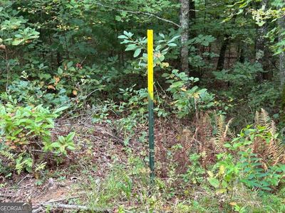 2143AC Blue Tick Dr #10-15, Mc Caysville, GA, 30555