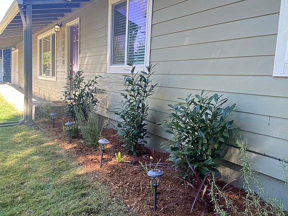 Established landscape