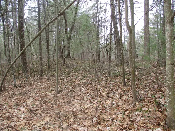 0 Ausable Rd, Oscoda, MI 48750