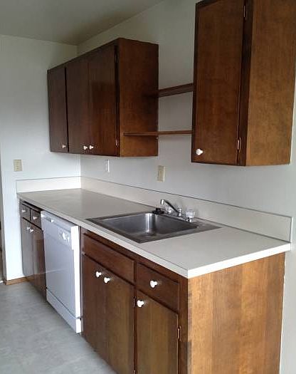 Kitchen Sink counter