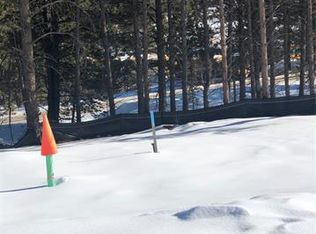 1402 Roberts Ranch Rd, Woodland Park, CO 80863