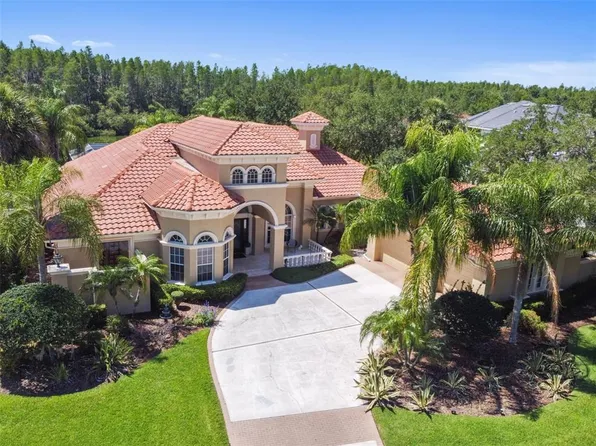 4730 Rue Bordeaux, Lutz, FL 33558