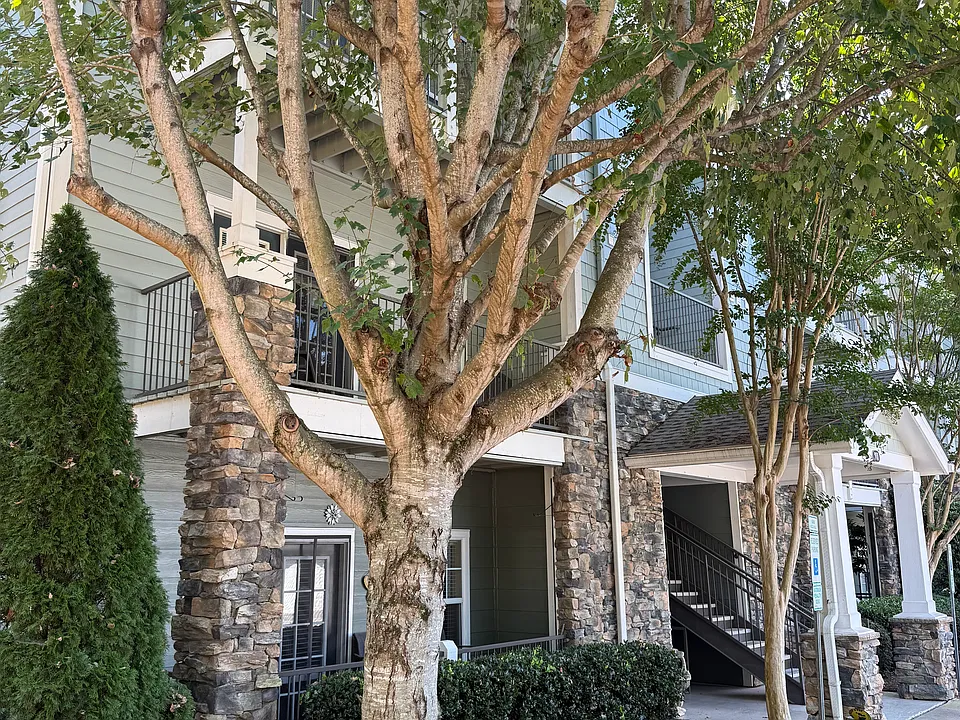 200 Vista Lake Dr #304