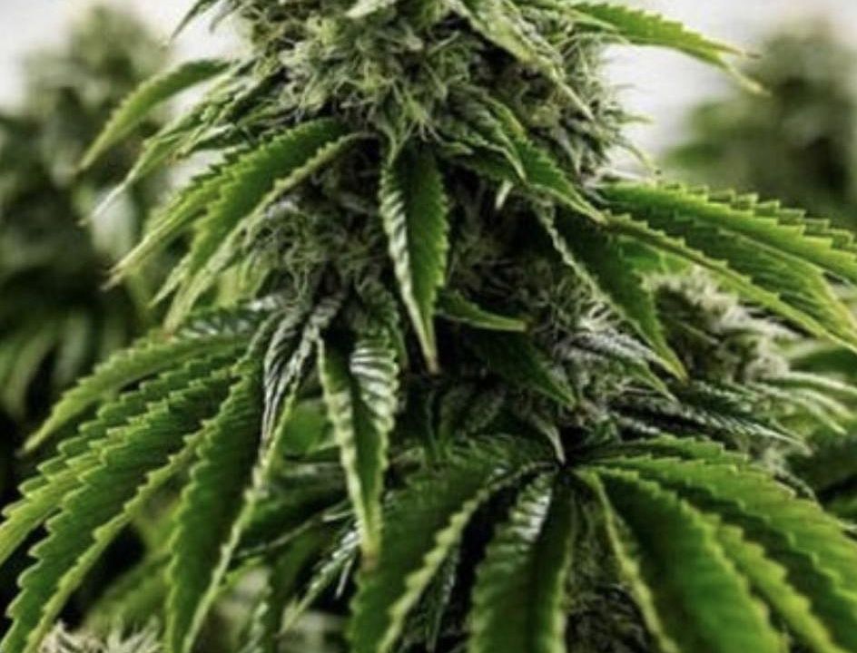 Normanna Rd Duluth Mn at James York blog