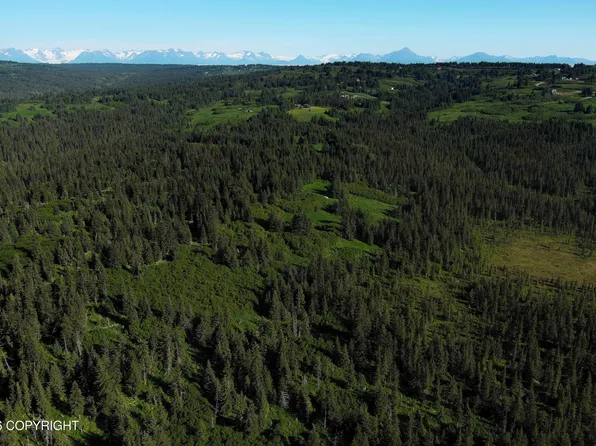 L-22 Kachemak Way, Homer, AK 99603