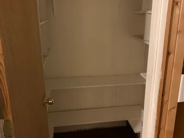 Basement pantry closest