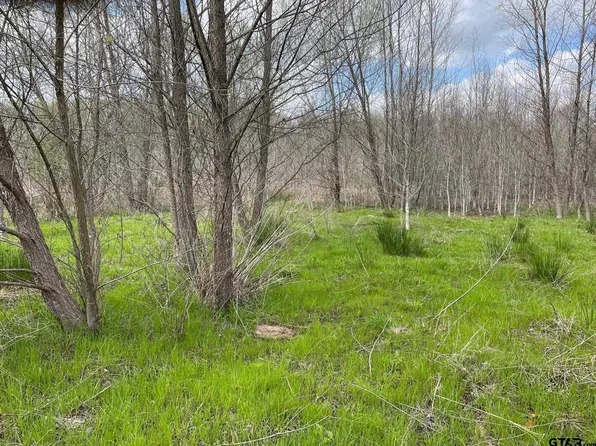 3696 County Road 4614, Ben Wheeler, TX 75754