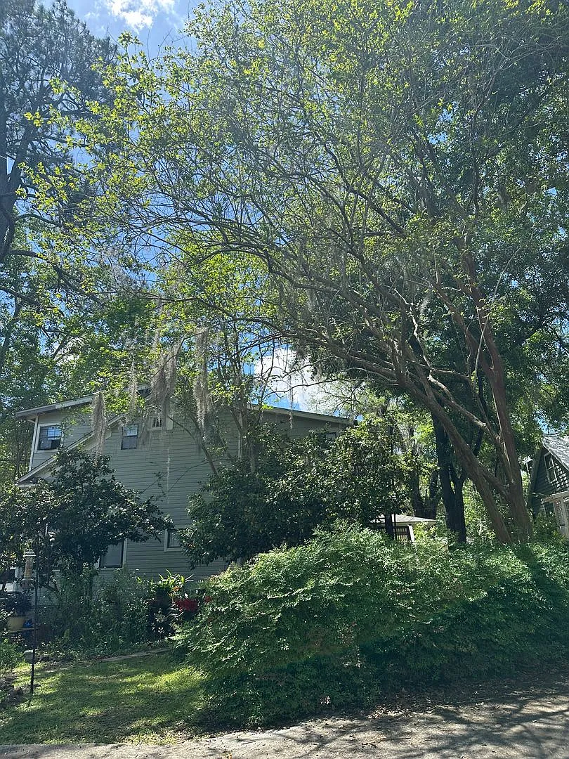 Beautiful downtown quad. 1 and 2 bed units available now. Pets allowed. — Photo 4