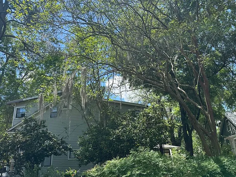 534 E Call St — Photo 3
