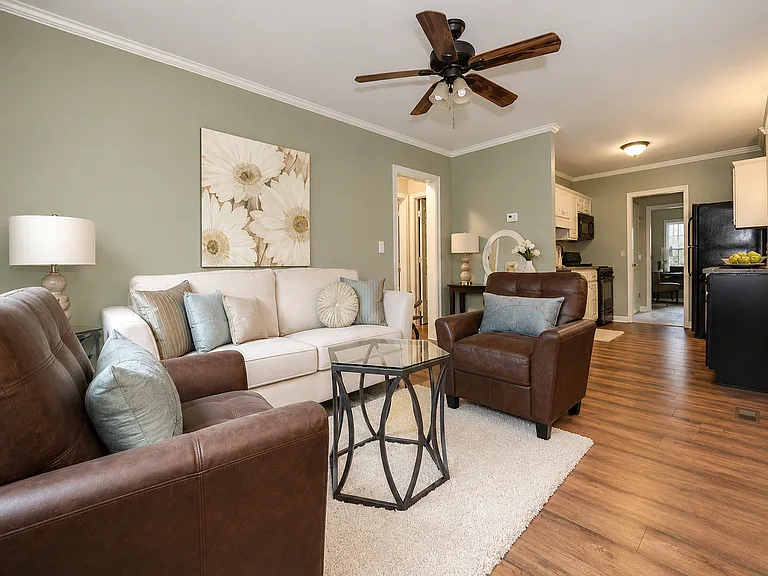 Living room leading into kitchen.