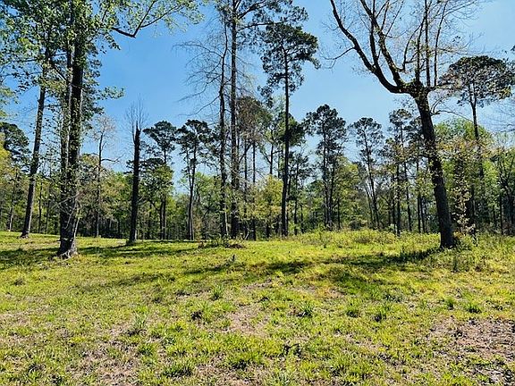 5th image of 155 Crowell Ln