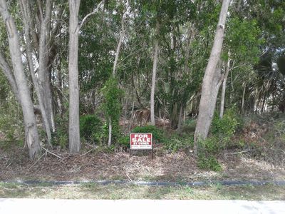 4978 NW Manville Dr, Port Saint Lucie, FL, 34983
