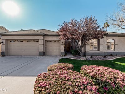 1281 E Morelos St, Chandler, AZ, 85225