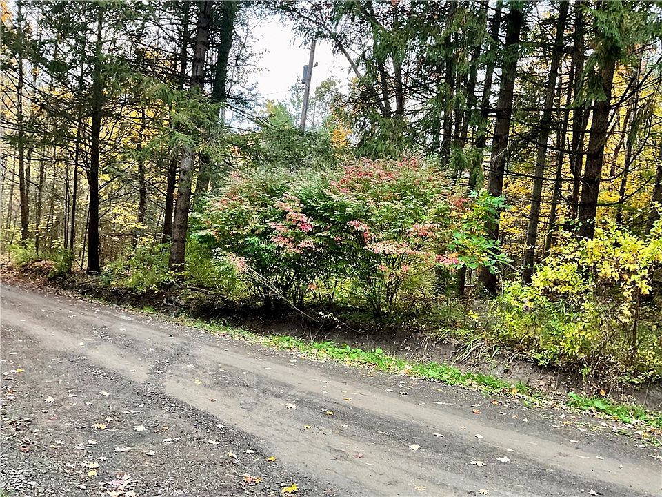 37th image of 18 Nixon Rd