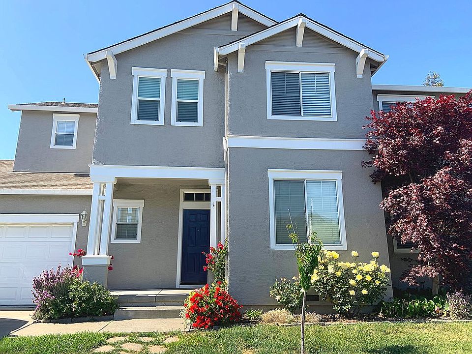 Rock walkway and cherry tree
