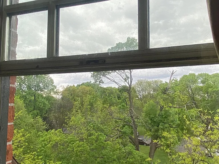 Park view from living room