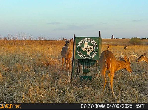 0 County Road 2, Turkey, TX 79261