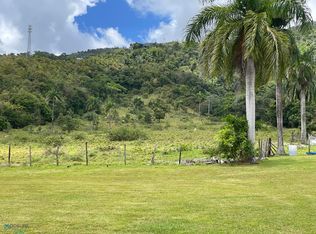 Interior Carr #969, Naguabo, PR 00718