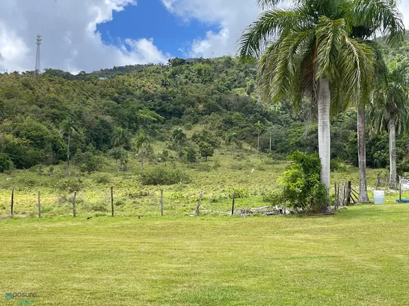 Interior Carr #969, Naguabo, PR 00718