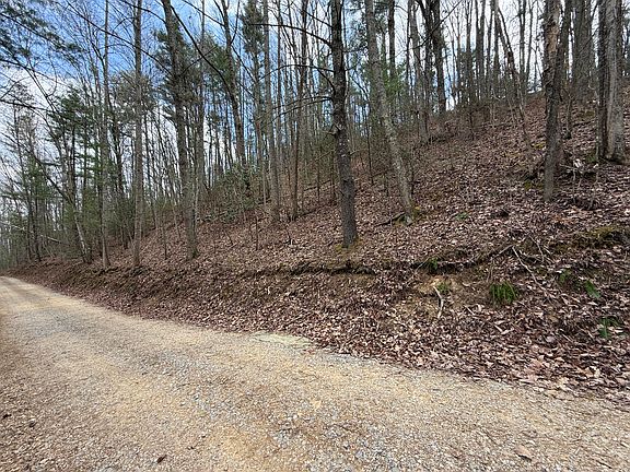 3rd image of 4.1 Reece Hollow Rd