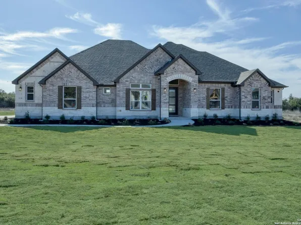 1130 Cape May Warbler, New Braunfels, TX 78132