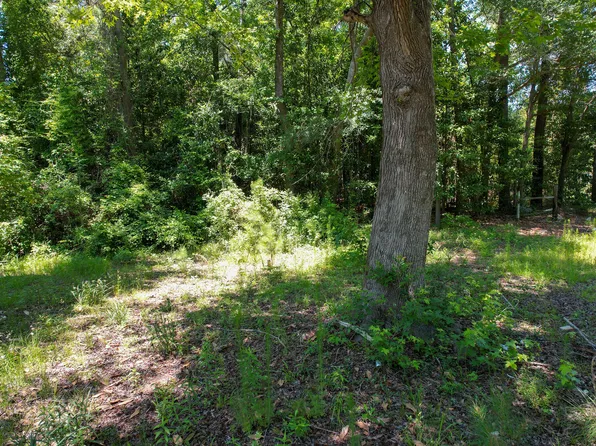 275 Hamer St Lot 4 & 5, Fair Bluff, NC 28439