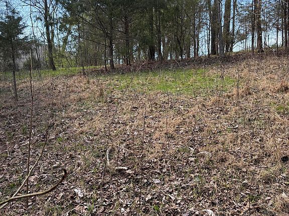 3rd image of 27 Walnut Bend Dr Lot 27R