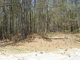 2nd image of 209 Anderson Rd