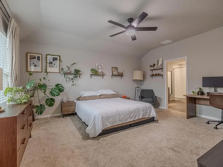393 Apache Plum Dr — Photo 14