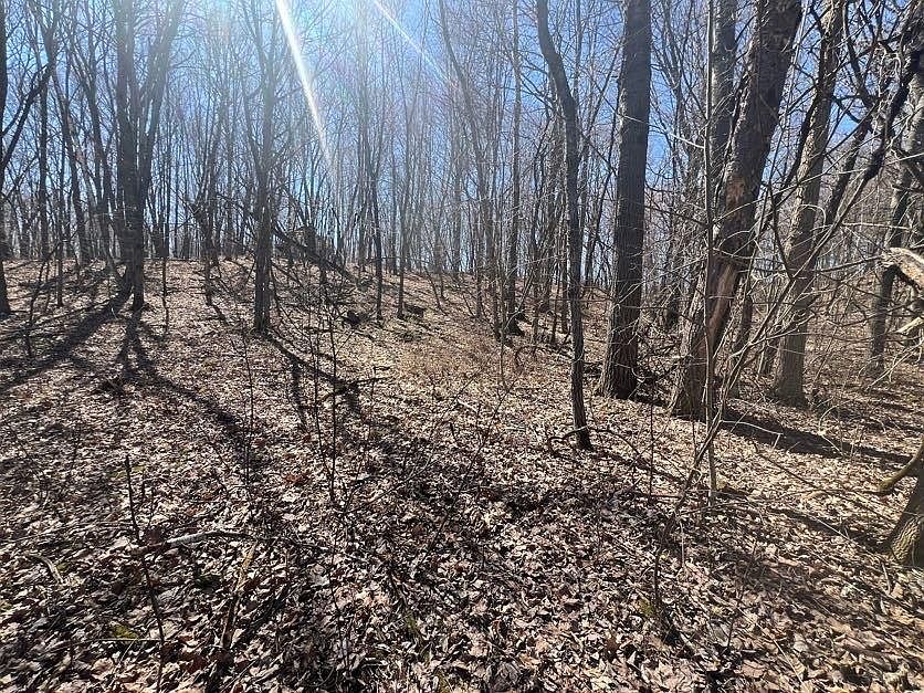 1st image of Lot 3 464th Street