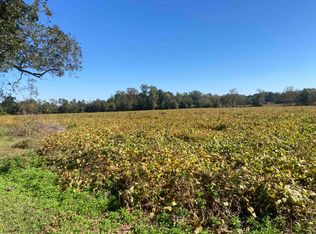 TRACT N Bethel Rd #A, Scranton, SC 29591